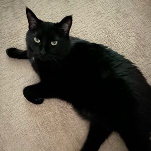 Meet your Posher, Dana